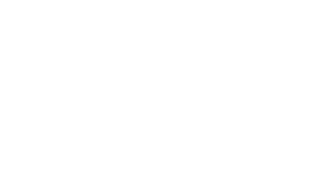 Viva La Bachata logo